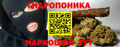 spice Кунгур