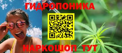 стаф Кулебаки
