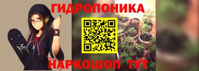 стаф Кулебаки