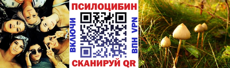 Псилоцибиновые грибы прущие грибы  Заринск 