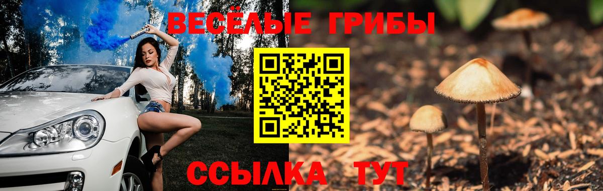 Галлюциногенные грибы мухоморы Заринск