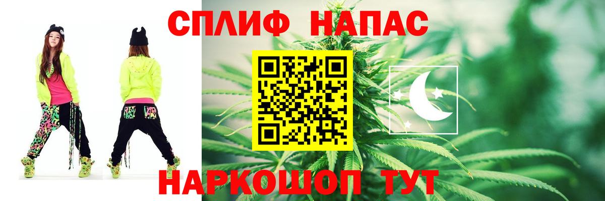 Канабис сатива Заринск